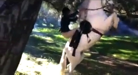 Stunt Woman Falls from Horse