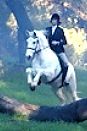 Alisa - Jumps Horse in Woods