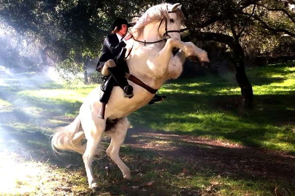 Alisa Rearing Horse on Chuck